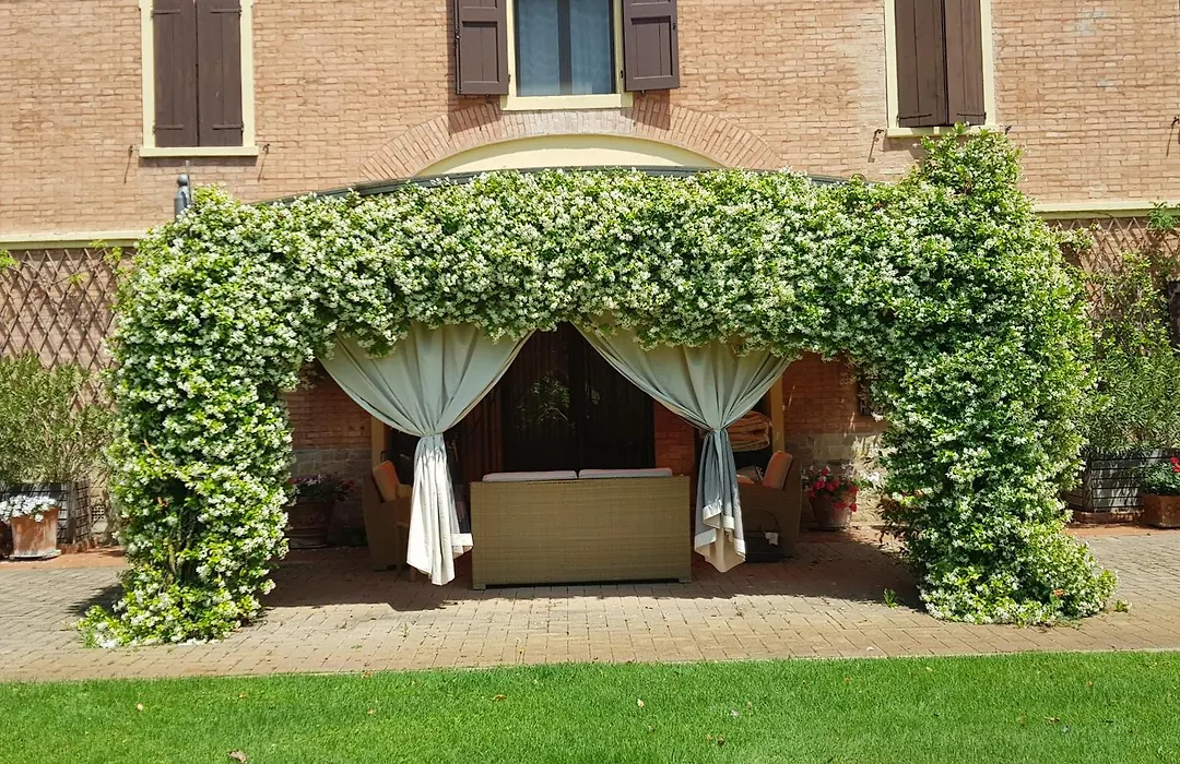 La Villa delle Rose-1